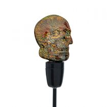 Ampoule SKULL Cosmos 3D D95 4W E27  warmwhite