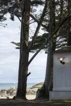 Applique Bermude N&deg;1 Vert sapin (115001067)