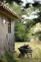 Applique Cooper N&deg;1 Orang&eacute; pur (179001014)