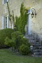 Applique Louis XIII N&deg;3 Laiton vernis teint&eacute; (130005070)