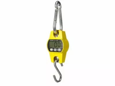 Balance � Grue Num�rique - Charges Lourdes - 300 Kg / 300 G (VTBAL601)