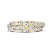 BANDEAU BLC 4000K 5M 60LED ET 5W/M IP20 12V (100406)