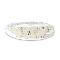 BANDEAU BLC 6000K 5M 60LED 12,4W/M IP20 24V BOITE 5ANS (751652)
