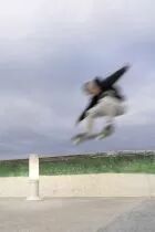 Borne OL11 N&deg;3 E27 Gris soie Diffuseur opale (142203105)