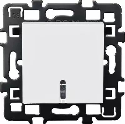Bouton poussoir avec lampe 230v - 1,5ma + cache peinture