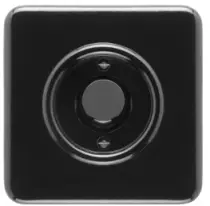 Bouton poussoir bakelite noire (173054)