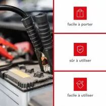 Chargeur pour accus &agrave; l\'acide plomb 12/24v - avec fonction boost - 9a (AC15)