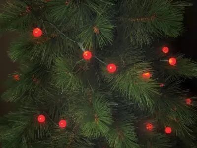 Cherry Light LED - 12 m - 120 lampes rouges - fil vert - 24 V (CHL-12-24V-R)