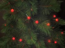 Cherry Light LED - 12 m - 120 lampes rouges - fil vert - 24 V (CHL-12-24V-R)