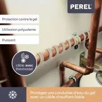 Cordon antigel avec thermostat - 12m (120-0T)