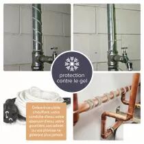 Cordon antigel avec thermostat - 12m (120-0T)