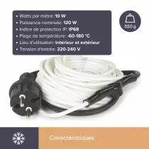Cordon antigel avec thermostat - 12m (120-0T)