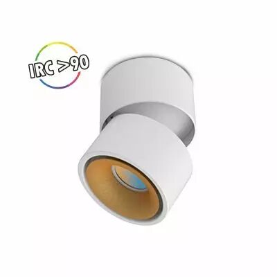 COSMOS APPLIQUE DECORATIVE BLANC/DORE 12W 3CCT IRC90 23� 3ANS (100488)