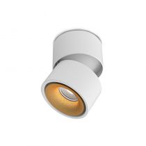COSMOS APPLIQUE DECORATIVE BLANC/DORE 12W 3CCT IRC90 23° 3ANS (100488)