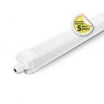 DANUBE ETANCHE LED INT 1255MM 35W 4000K IP65 IK08 TRA CONNECT 5ANS(X6) (150121)