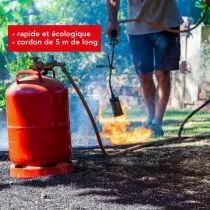 D&Eacute;SHERBEUR THERMIQUE &Agrave; GAZ - TUYAU 5 m - R&Eacute;GULATEUR DE PRESSION 2.5 BAR (VL104)