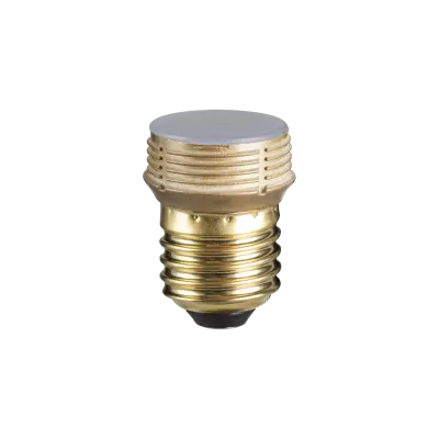 Diffuseur RN E27 Led 3.5W 2700K 210lm dim