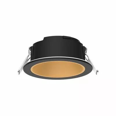 ECLAT CCT II COLLERETTE BASSE LUM ROND NOIR + INTER DORE (100291)