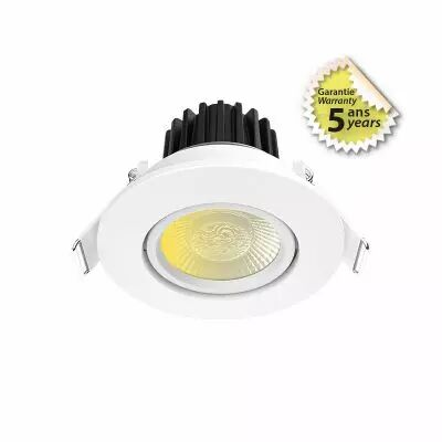 ECLAT CCT II SPOT ORIENT 60� 8W 2700/3000/4000 IP65 DIM 5ANS (100794)