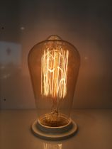 Edison Filament Métallique Droit 40W E27 2000K 160Lm Ambrée (15991)