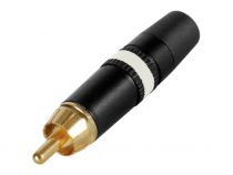 Rca (cinch)