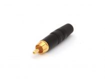 Fiche rca - dorée - anneau noir (NYS373-0)