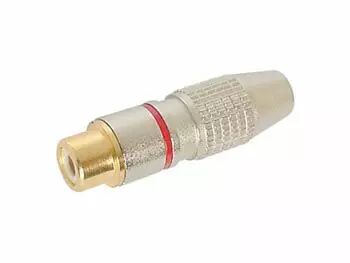Fiche rca femelle - contact dore - rouge (CA058R)