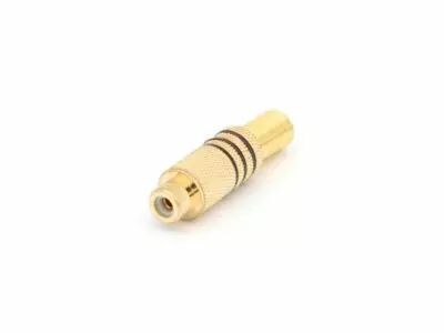Fiche rca femelle doree - noir (CA059B)