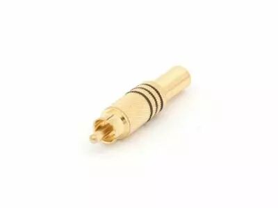 Fiche rca male doree - noir (CA048B)