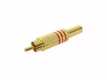 Fiche rca male doree - rouge (CA048R)