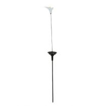 Fleur solaire Arum (401152)