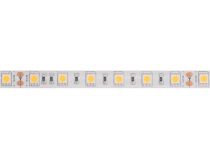 FLEXIBLE LED - BLANC CHAUD - 300 LEDs - 5 m - 24 V (LS24M230WW1)