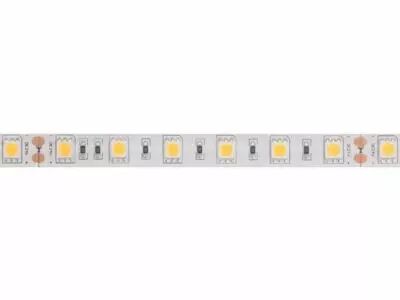 FLEXIBLE LED - BLANC CHAUD - 300 LEDs - 5 m - 24 V (LS24M230WW1)