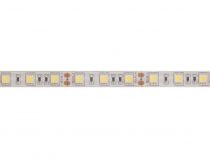 FLEXIBLE LED - BLANC FROID - 300 LEDs - 5 m - 12 V (LS12M230CW1)