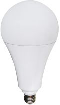 Globe A120 LED 330° 30W 2700K 2800Lm Dépoli (167550)