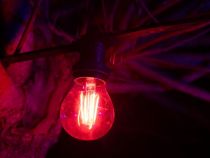 Guirlande De Fête À Led - 10 X Douille E27 - Sans Ampoules - 5 M (HQPL11001)