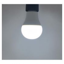LED 11W BULB E27 6500K BOITE (7386)