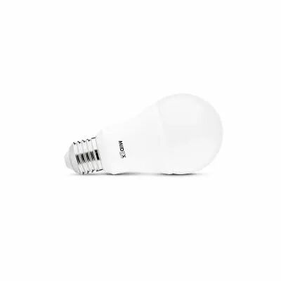 LED 13W E27 6500K  (100608)