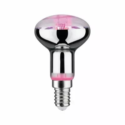 LED fil Plant R50 E14 6,5W 230V (28734)