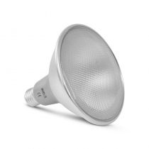 LED PAR38 GS 15W E27 4000K IP65 BOITE (81230)