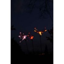 Libellule lumineuse