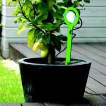 Luminaire PICTO SPIKE à planter bordeaux (PI104466)