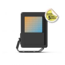 LUMOS PRO PROJECTEUR 70W 3CCT IP65 5ANS (100852)