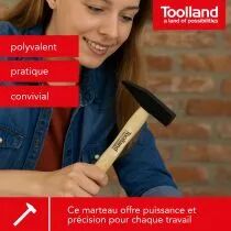 MARTEAU - MANCHE EN BOIS - 300 g (WH300)