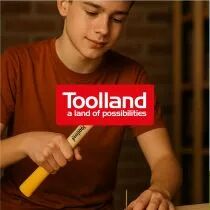 MARTEAU - MANCHE EN BOIS - 300 g (WH300)