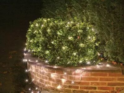 Netlight LED - 2 x 2 m - 144 lampes blanc chaud - fil noir - 36 V (NL-LED-2X2-36V-B-UW)