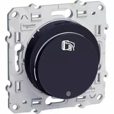Odace, interrupteur � carte 10 A Anthracite (S540283)
