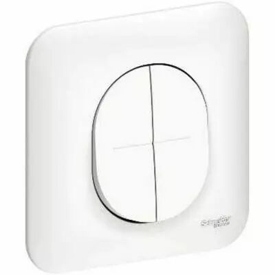Ovalis double poussoir 10A � fermeture avec plaque