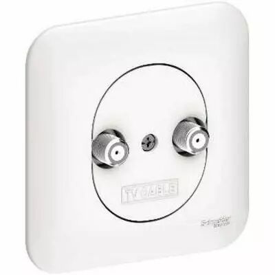 Ovalis prise multi services pour r�seaux c�bl�s avec plaque