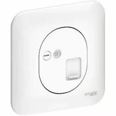 Ovalis RJ45 cat6 UTP r�seaux t�l�phone et informatique avec plaque